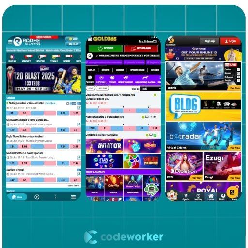 Cricket Betting Site On Rent